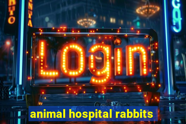 animal hospital rabbits